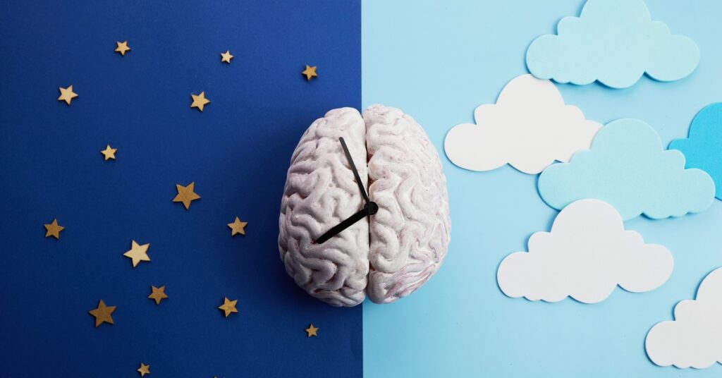 A light gray model of a brain sits over a background depicting the sky at night and day. Clock hands are on the brain.